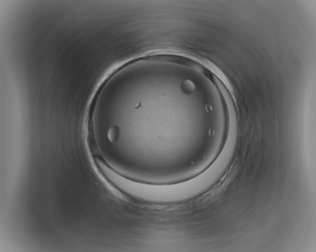 X0000110891005200906251314