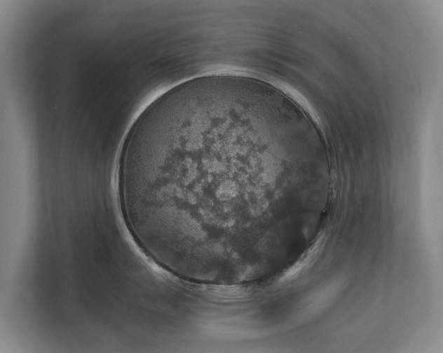 X0000110891007200906251313