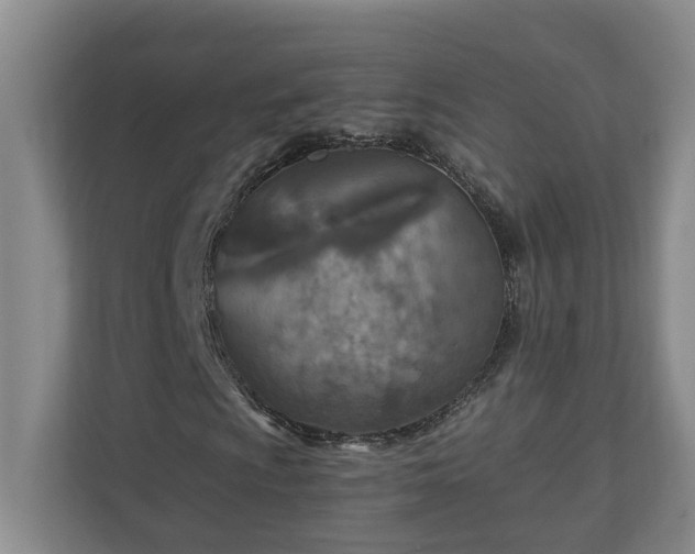X0000110891009200906251313