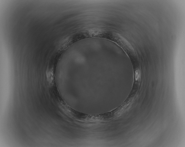 X0000110891011200906251313
