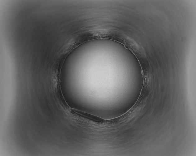 X0000110891012200906251313