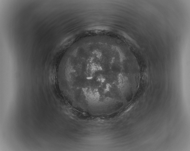 X0000110891014200906251313