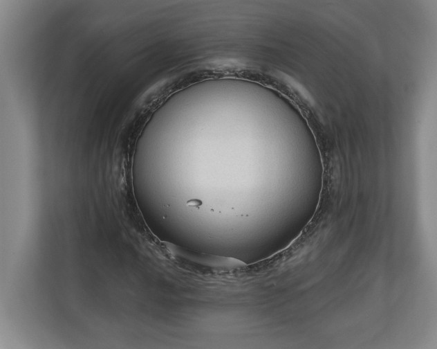 X0000110891016200906251313