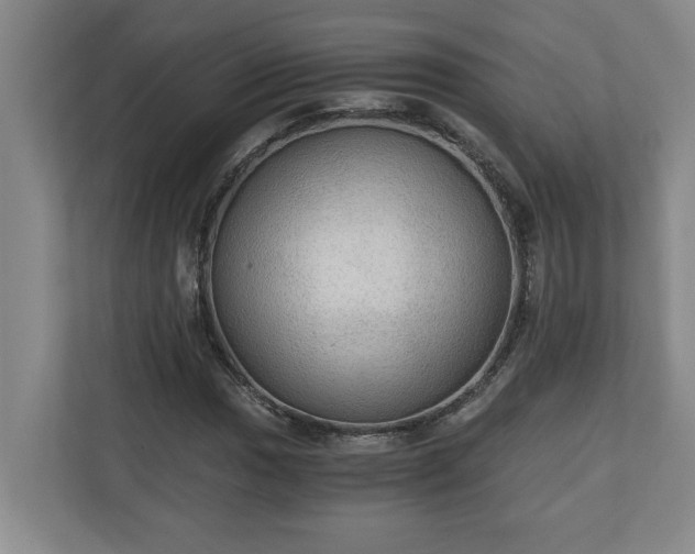X0000110891017200906251313