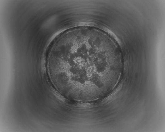 X0000110891019200906251313