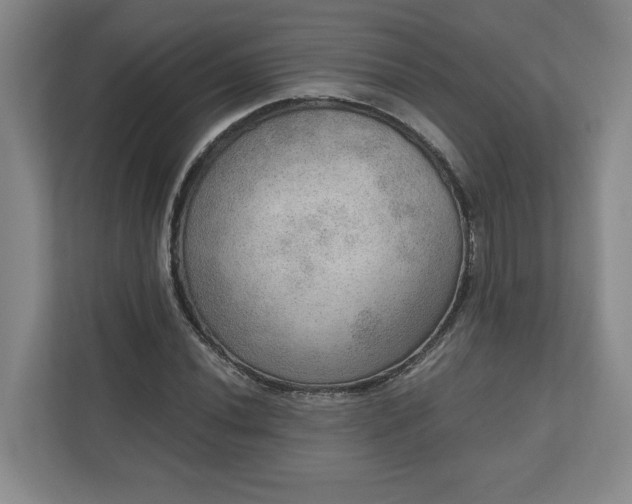 X0000110891020200906251313