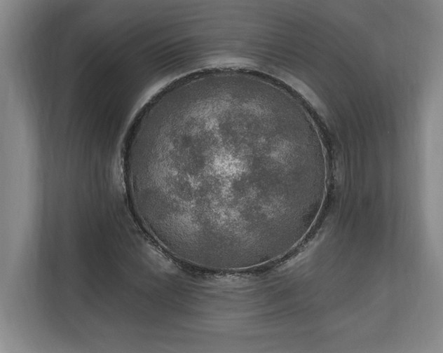 X0000110891022200906251313
