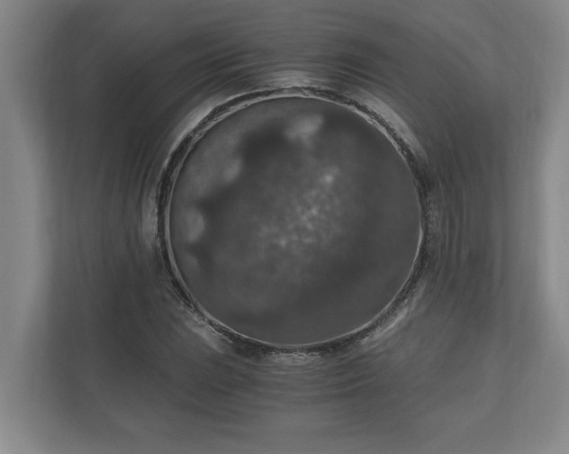 X0000110891023200906251313
