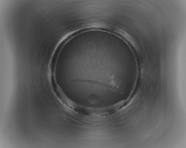 X0000110891024200906251313