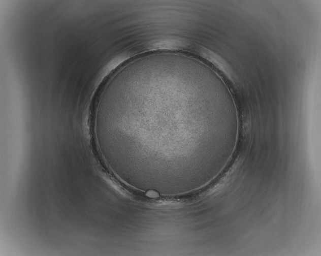 X0000110891026200906251313