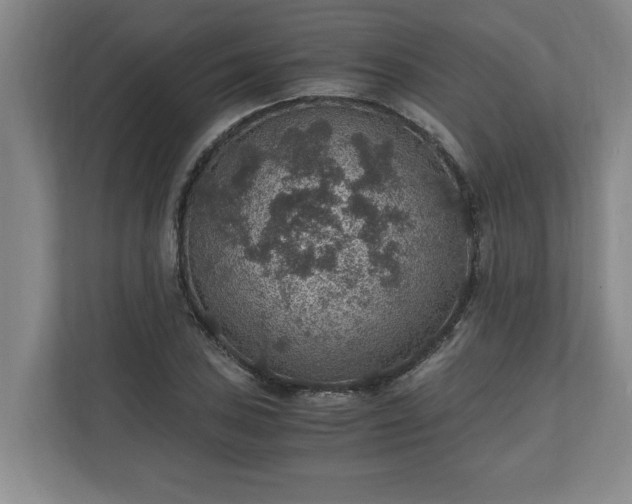 X0000110891027200906251313