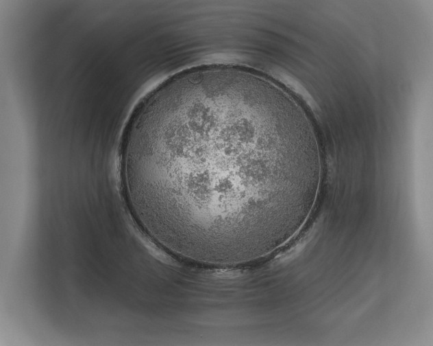 X0000110891029200906251313