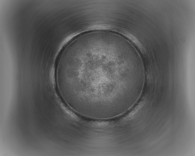 X0000110891030200906251313