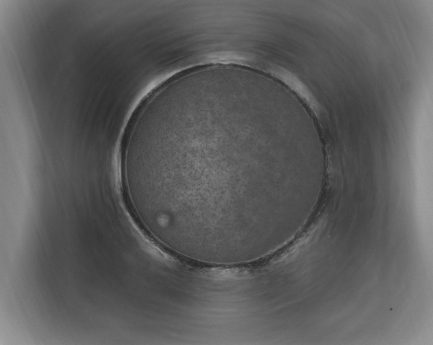 X0000110891032200906251313