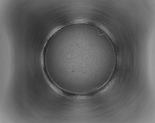 X0000110891034200906251313