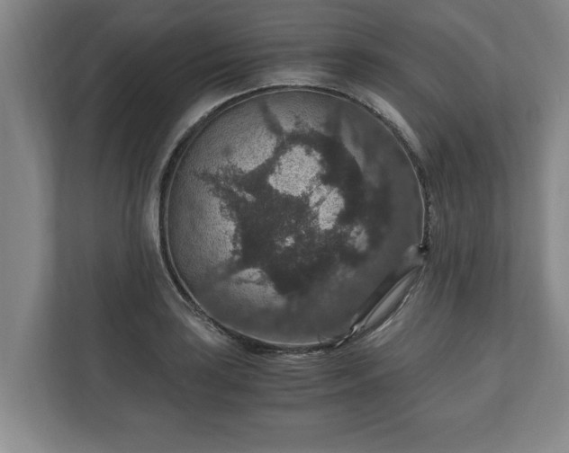 X0000110891035200906251313