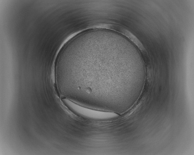 X0000110891036200906251313