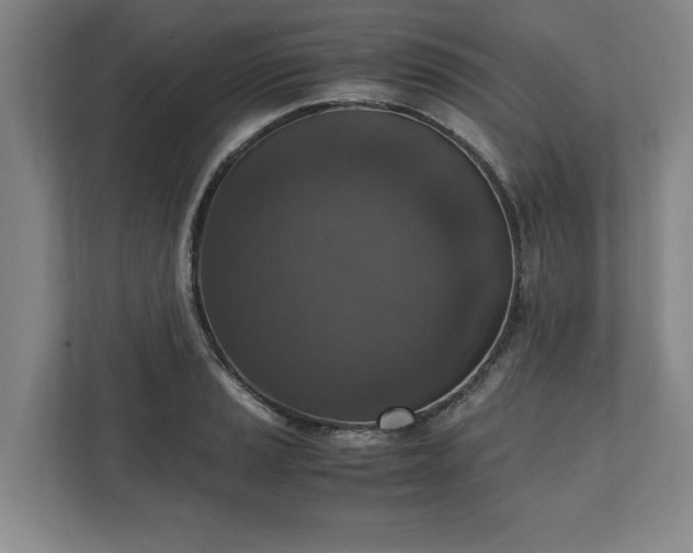 X0000110891037200906251313