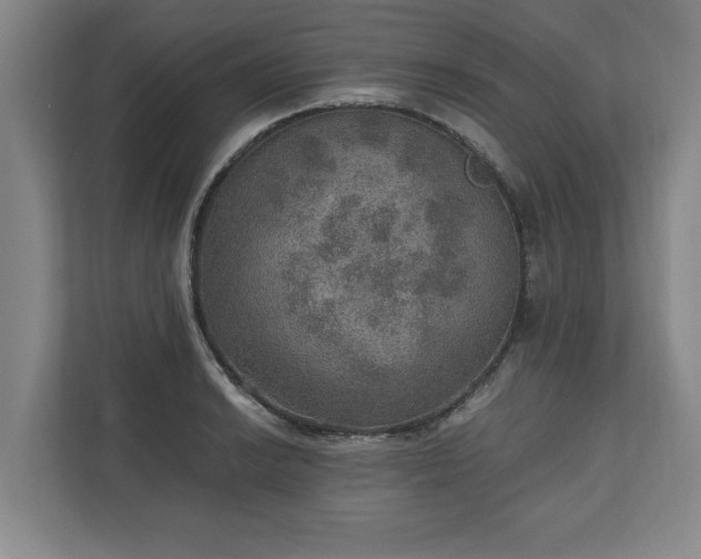 X0000110891038200906251313