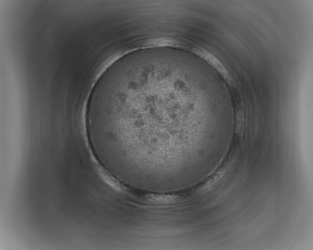 X0000110891039200906251313
