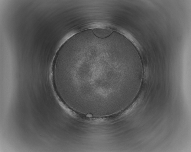 X0000110891042200906251313