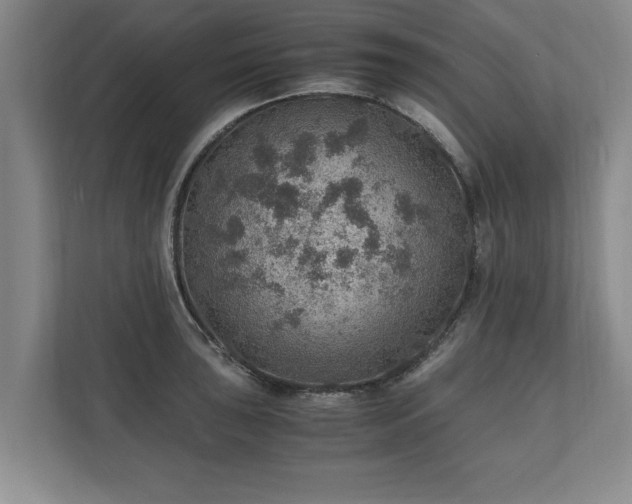X0000110891043200906251313