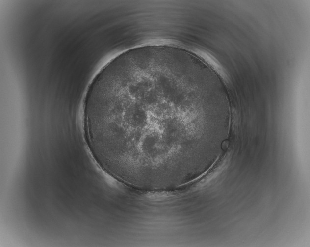 X0000110891046200906251313
