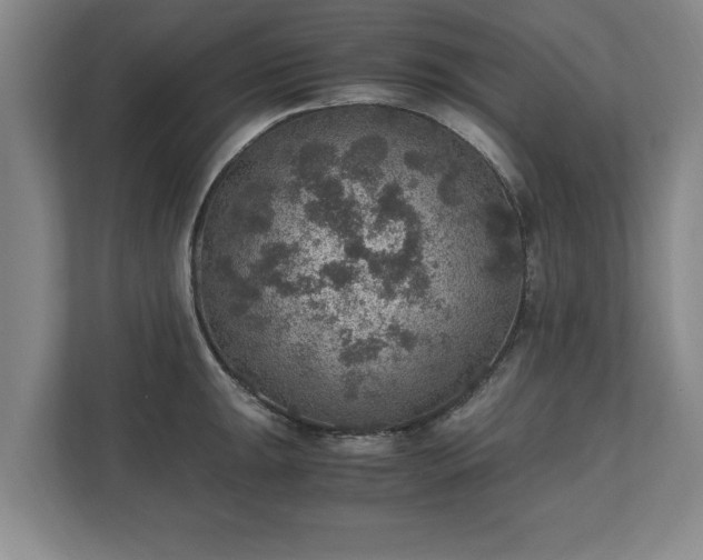 X0000110891047200906251313