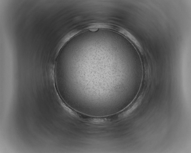 X0000110891049200906251313