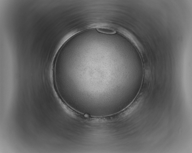X0000110891050200906251313