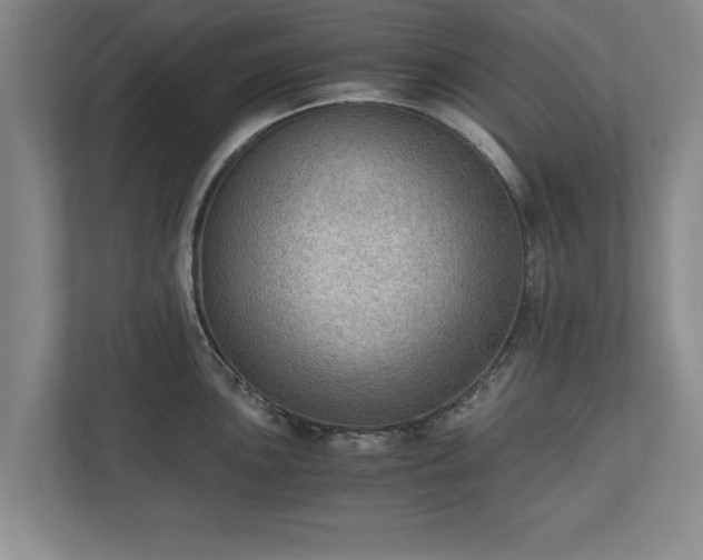 X0000110891051200906251313
