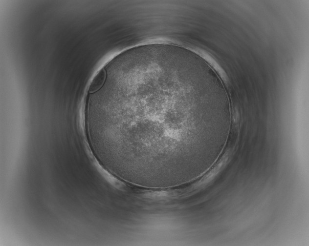 X0000110891054200906251313