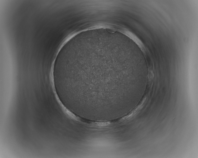 X0000110891055200906251313