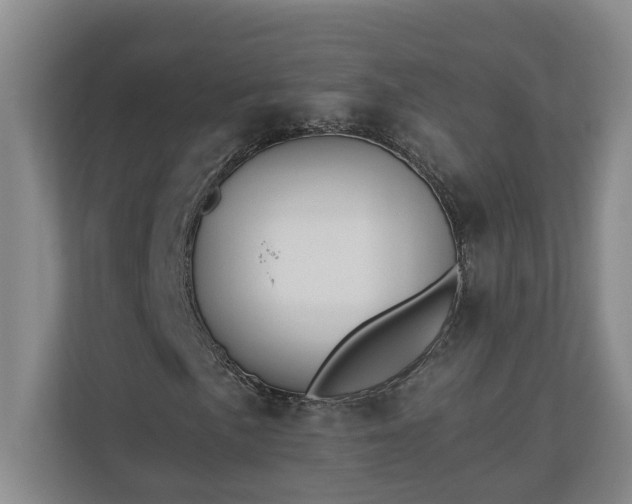 X0000110891057200906251313