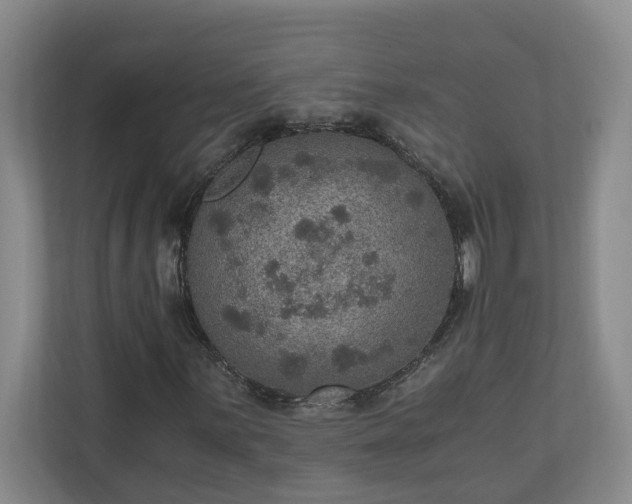 X0000110891059200906251313
