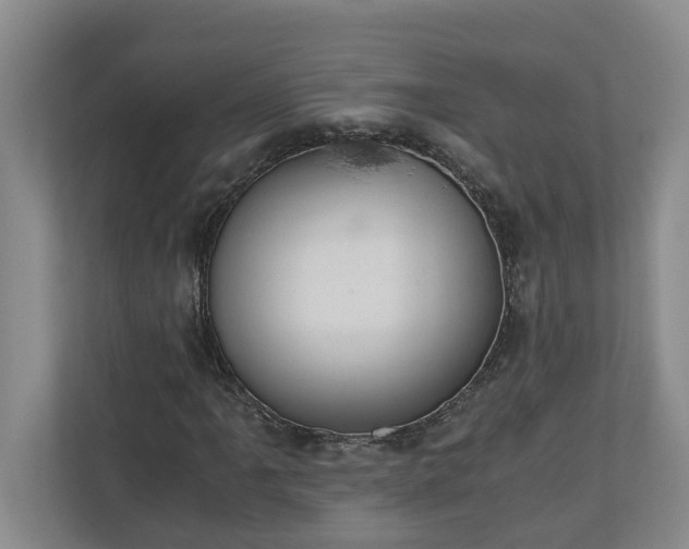 X0000110891061200906251313
