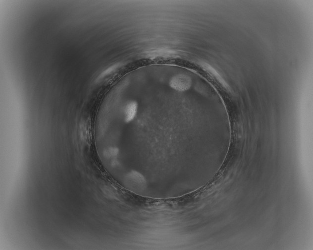 X0000110891063200906251313