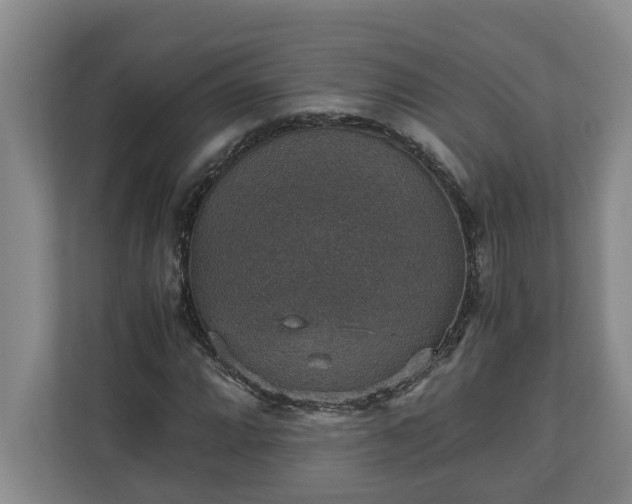 X0000110891064200906251313