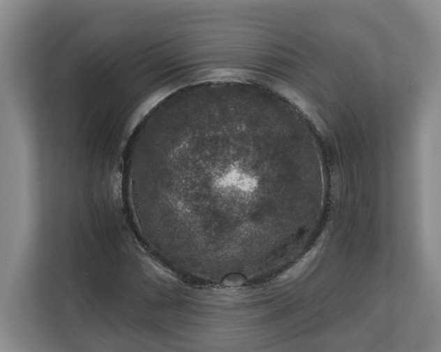 X0000110891066200906251313