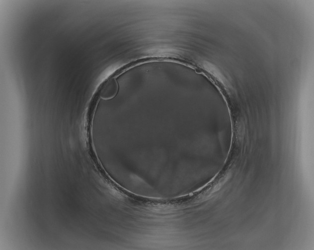 X0000110891071200906251313