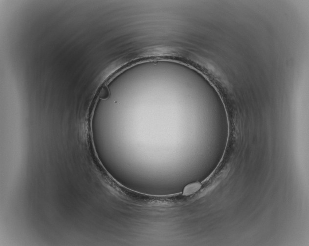 X0000110891073200906251313