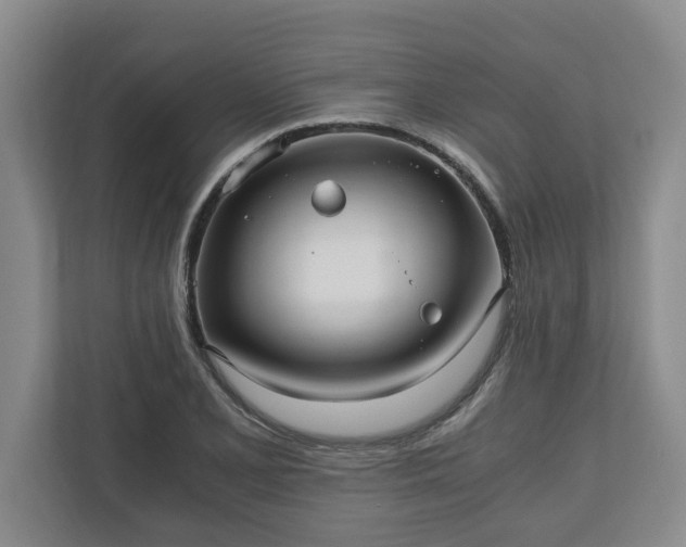 X0000110891077200906251313