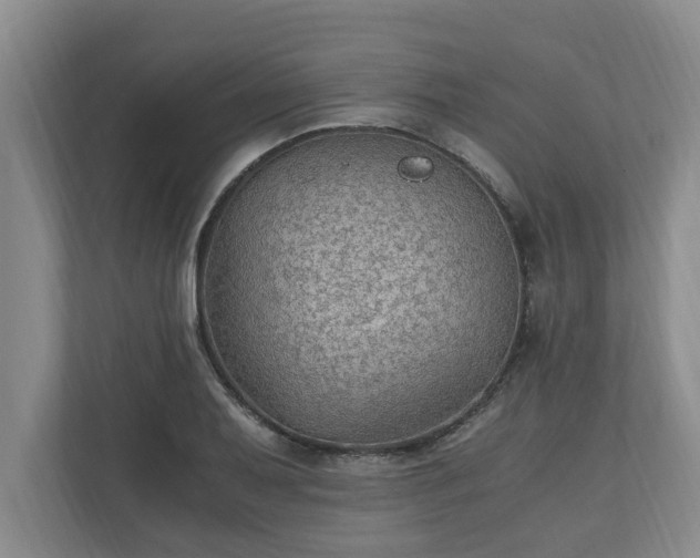 X0000110891079200906251313