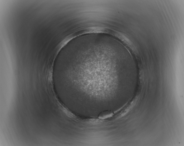 X0000110891081200906251313