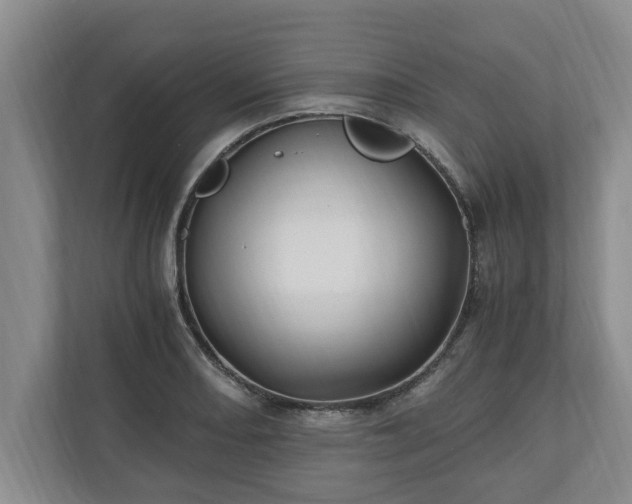 X0000110891082200906251312