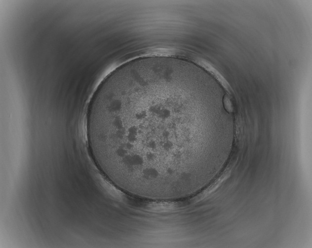 X0000110891083200906251312