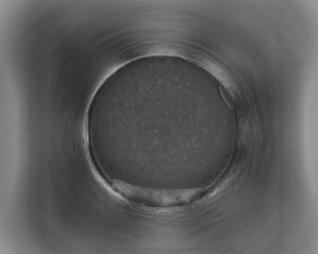 X0000110891084200906251312