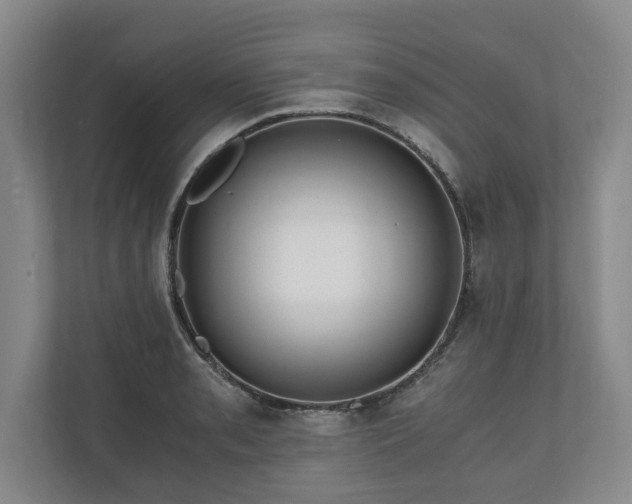 X0000110891085200906251312