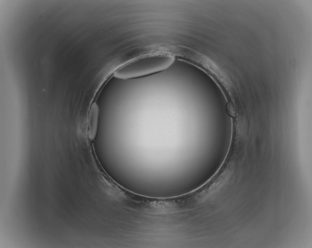 X0000110891089200906251312