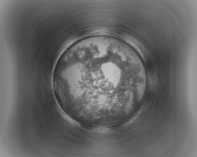 X0000110891090200906251312